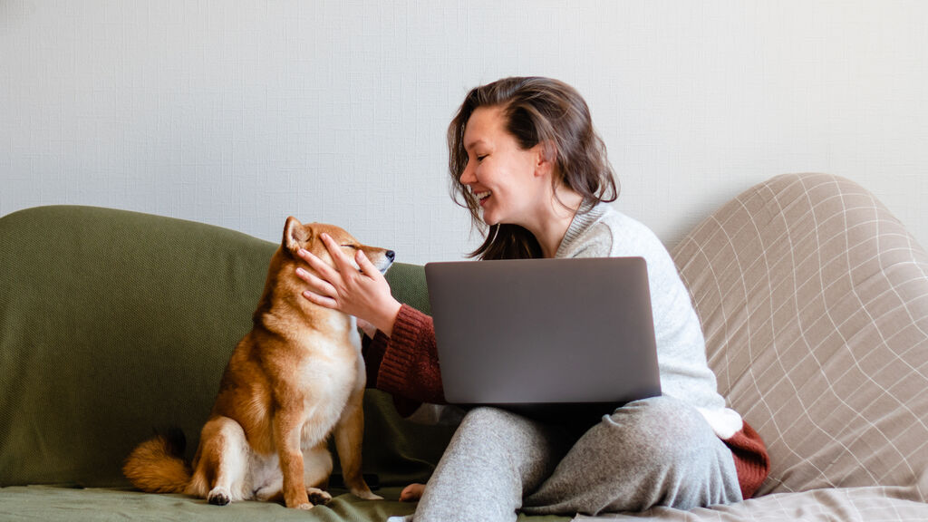 PFX Case Web 240424 015