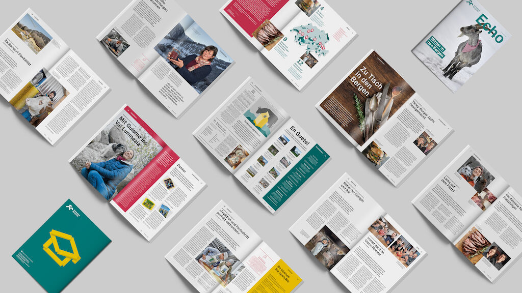 Schweizer Berghilfe Metadesign 10