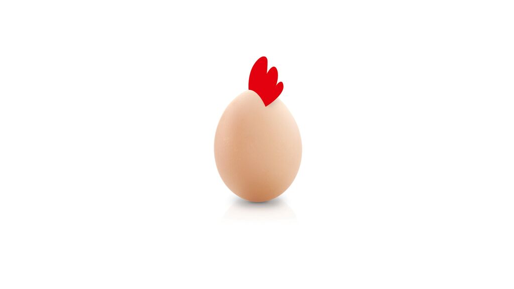 Egg header Transform blog