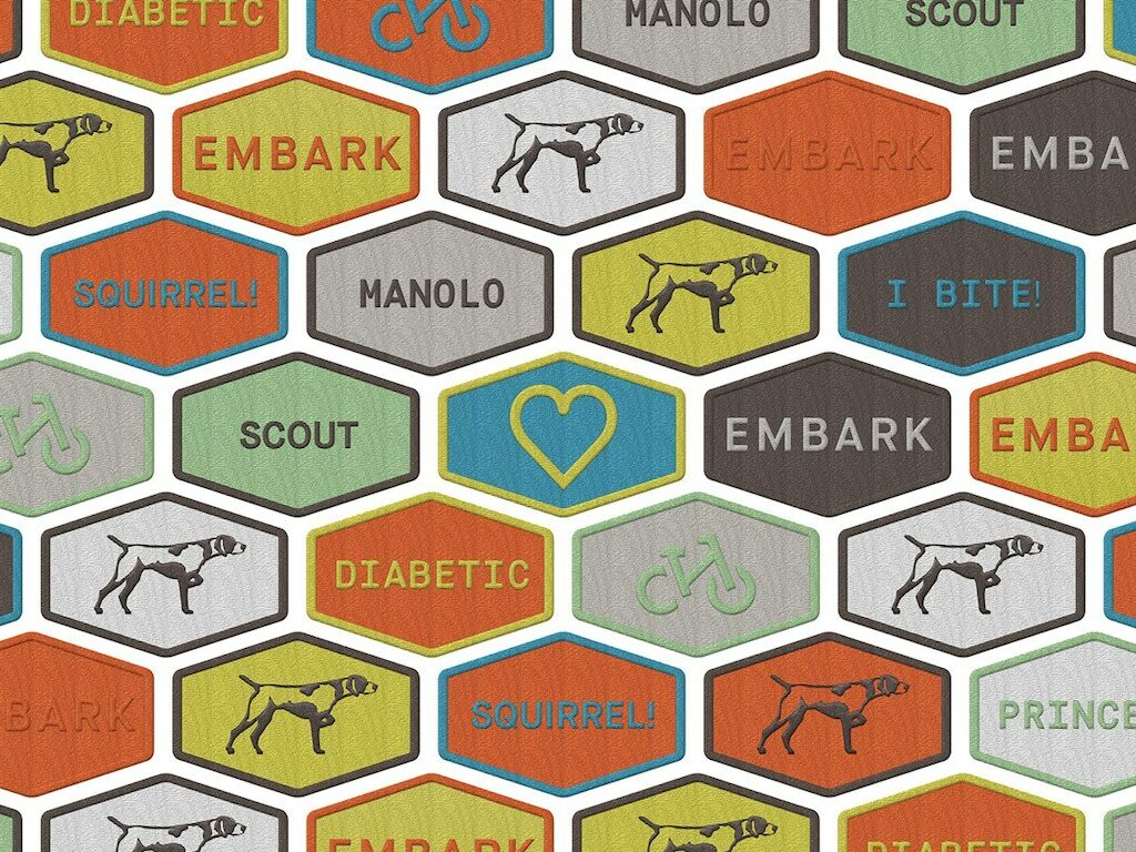 Embark_patches